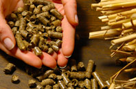 free Greensplat biomass boiler quotes